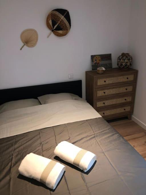 Appartement Cosy-Grand Stade Villeneuve D'Ascq Lezennes Exteriér fotografie